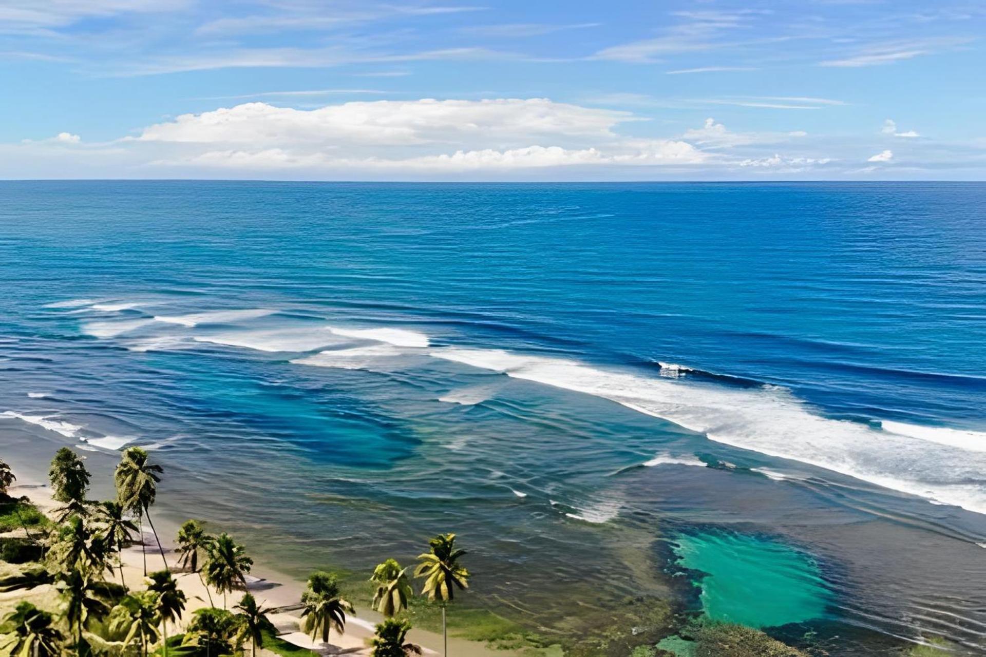 Praia Do Forte Apartamento Fantastico Екстер'єр фото
