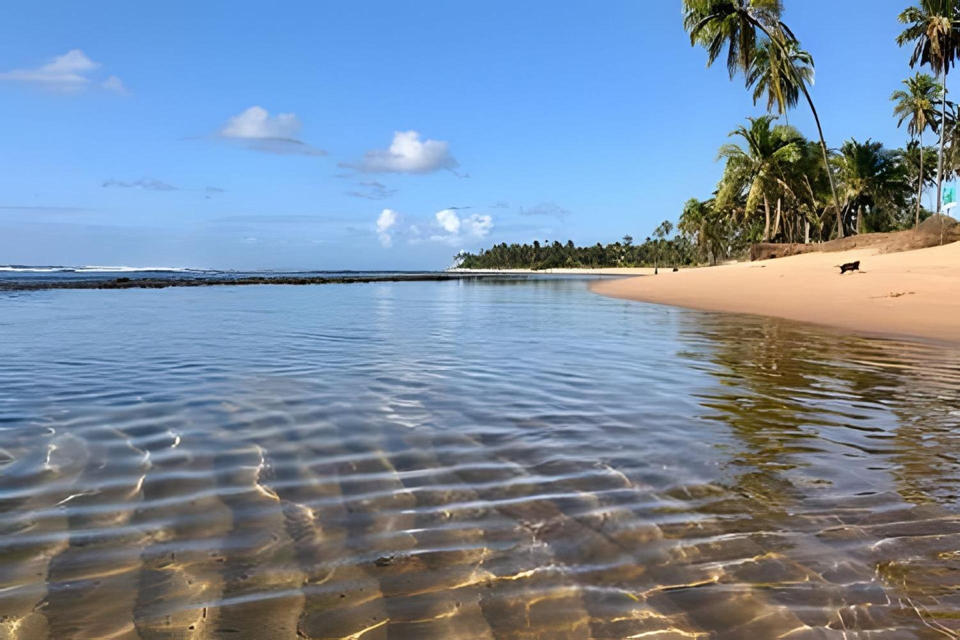 Praia Do Forte Apartamento Fantastico Екстер'єр фото